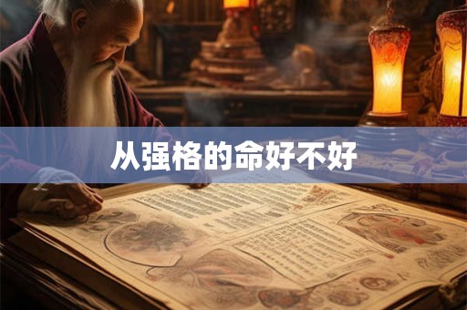 从强格的命好不好 从强格的命好不好