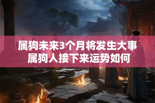 属狗未来3个月将发生大事 属狗人接下来运势如何