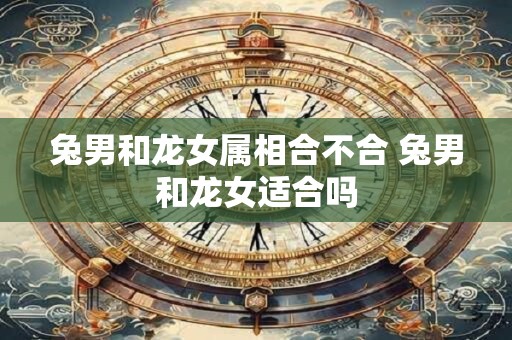 兔男和龙女属相合不合 兔男和龙女适合吗