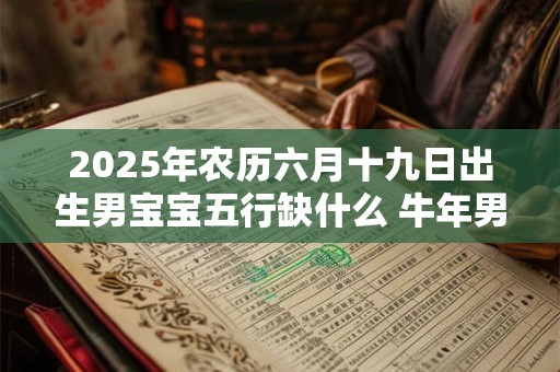 2025年农历六月十九日出生男宝宝五行缺什么 牛年男孩名字推荐