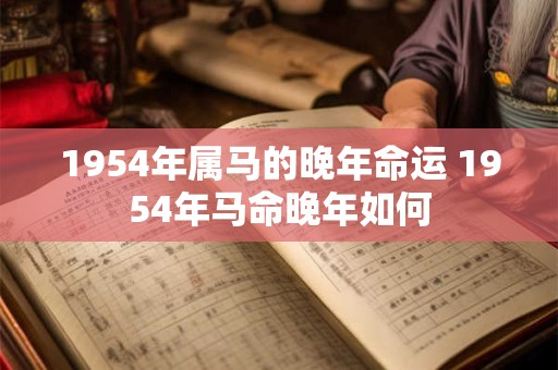 1954年属马的晚年命运 1954年马命晚年如何