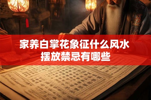 家养白掌花象征什么风水 摆放禁忌有哪些