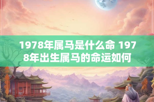 1978年属马是什么命 1978年出生属马的命运如何