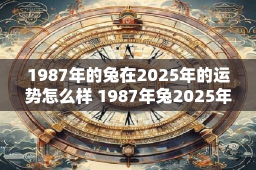 1987年的兔在2025年的运势怎么样 1987年兔2025年运势好吗
