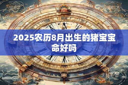 2025农历8月出生的猪宝宝命好吗