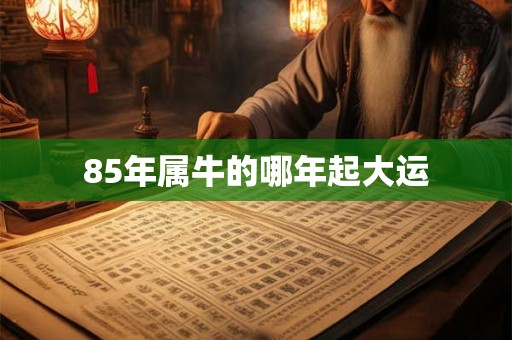 85年属牛的哪年起大运