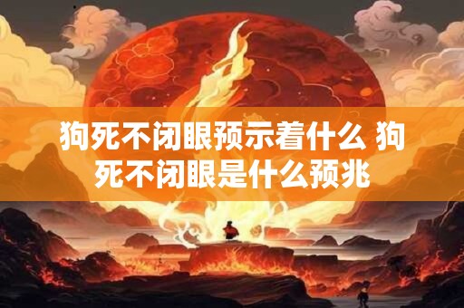 狗死不闭眼预示着什么 狗死不闭眼是什么预兆