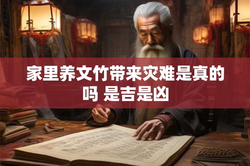 家里养文竹带来灾难是真的吗 是吉是凶