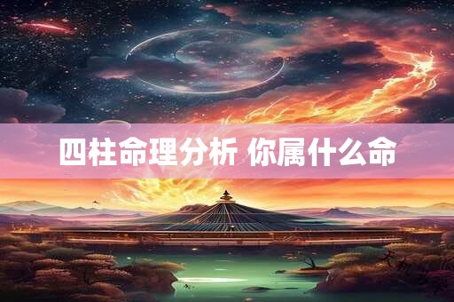 四柱命理分析 你属什么命