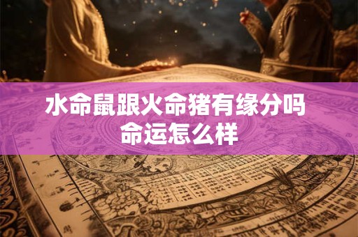 水命鼠跟火命猪有缘分吗 命运怎么样