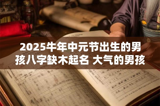 2025牛年中元节出生的男孩八字缺木起名 大气的男孩名字推荐 2025牛年中元节出生的男孩八字缺木起名 大气的男孩名字推荐