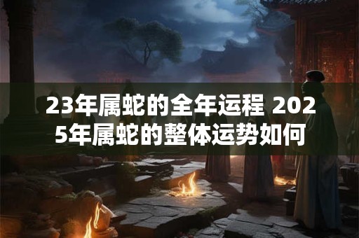 23年属蛇的全年运程 2025年属蛇的整体运势如何