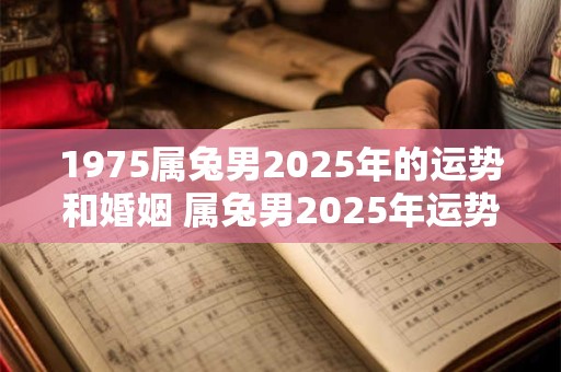 1975属兔男2025年的运势和婚姻 属兔男2025年运势和婚姻如何