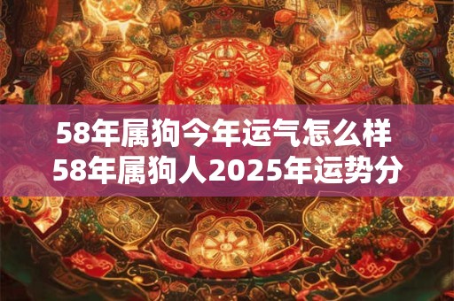 58年属狗今年运气怎么样 58年属狗人2025年运势分析 58年属狗今年运气怎么样 58年属狗人2025年运势分析