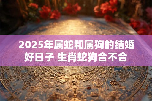 2025年属蛇和属狗的结婚好日子 生肖蛇狗合不合