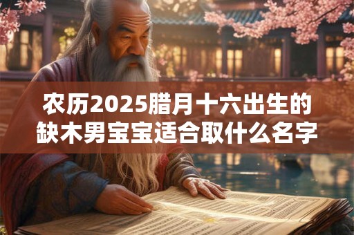 农历2025腊月十六出生的缺木男宝宝适合取什么名字？