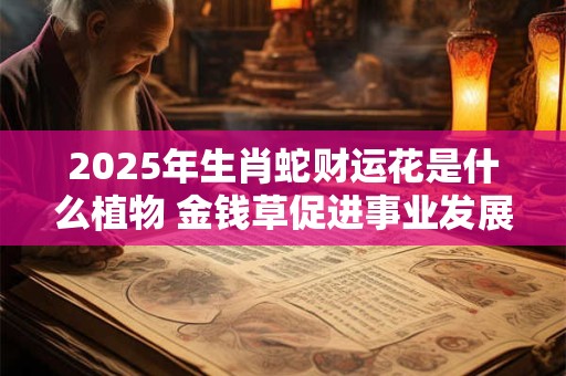 2025年生肖蛇财运花是什么植物 金钱草促进事业发展