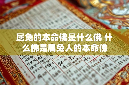 属兔的本命佛是什么佛 什么佛是属兔人的本命佛