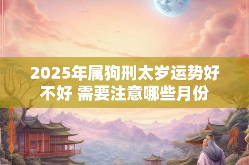 2025年属狗刑太岁运势好不好 需要注意哪些月份