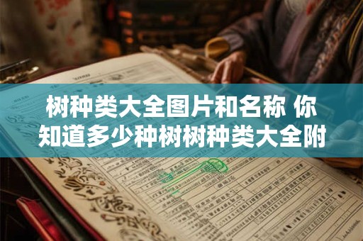 树种类大全图片和名称 你知道多少种树树种类大全附带图片与名称