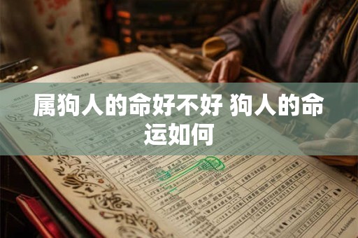 属狗人的命好不好 狗人的命运如何