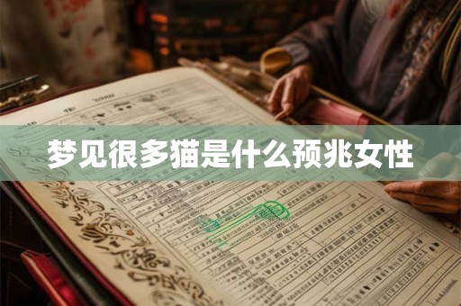 梦见很多猫是什么预兆女性