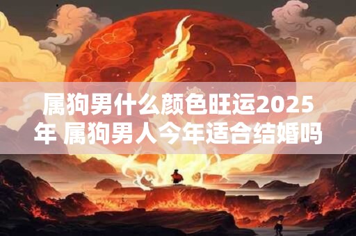 属狗男什么颜色旺运2025年 属狗男人今年适合结婚吗