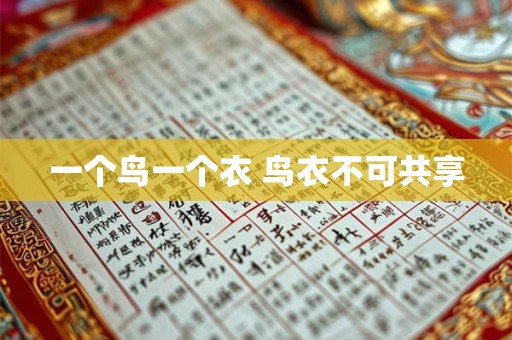 一个鸟一个衣 鸟衣不可共享