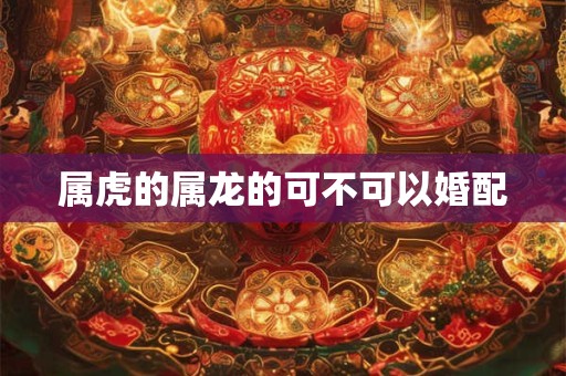 属虎的属龙的可不可以婚配