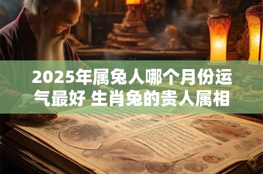 2025年属兔人哪个月份运气最好 生肖兔的贵人属相