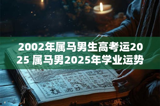 2002年属马男生高考运2025 属马男2025年学业运势如何