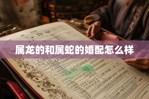 属龙的和属蛇的婚配怎么样