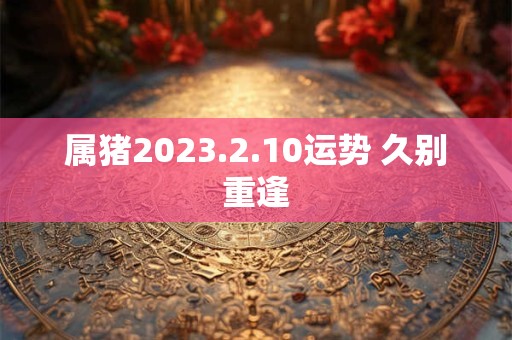 属猪2023.2.10运势 久别重逢
