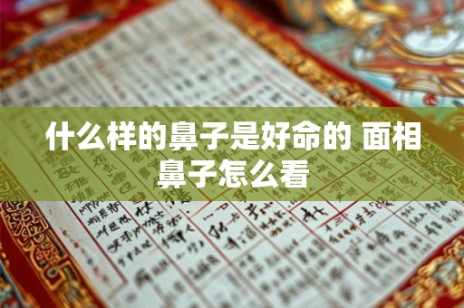 什么样的鼻子是好命的 面相鼻子怎么看