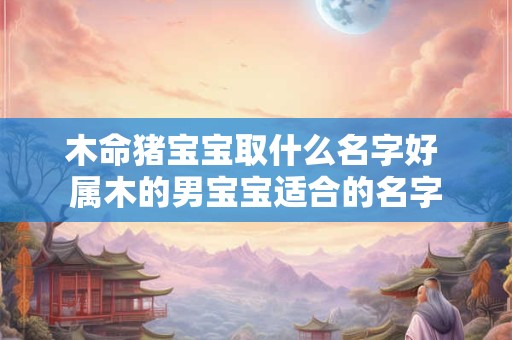 木命猪宝宝取什么名字好 属木的男宝宝适合的名字