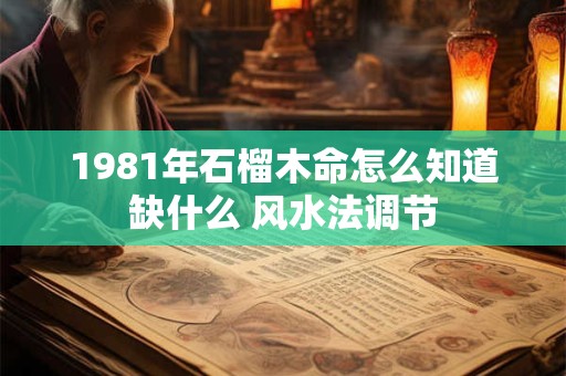 1981年石榴木命怎么知道缺什么 风水法调节