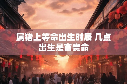 属猪上等命出生时辰 几点出生是富贵命