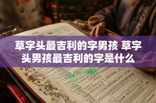 草字头最吉利的字男孩 草字头男孩最吉利的字是什么