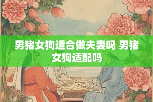 男猪女狗适合做夫妻吗 男猪女狗适配吗