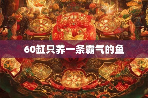 60缸只养一条霸气的鱼