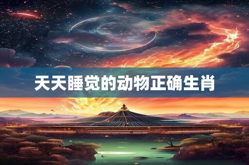 天天睡觉的动物正确生肖