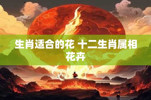 生肖适合的花 十二生肖属相花卉