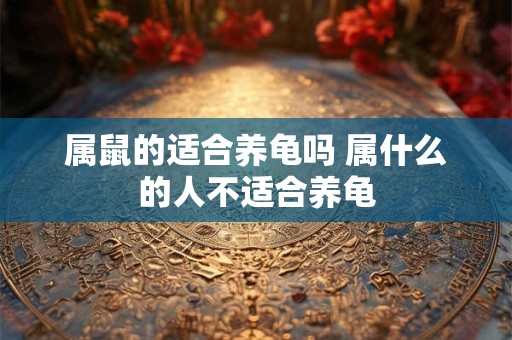 属鼠的适合养龟吗 属什么的人不适合养龟