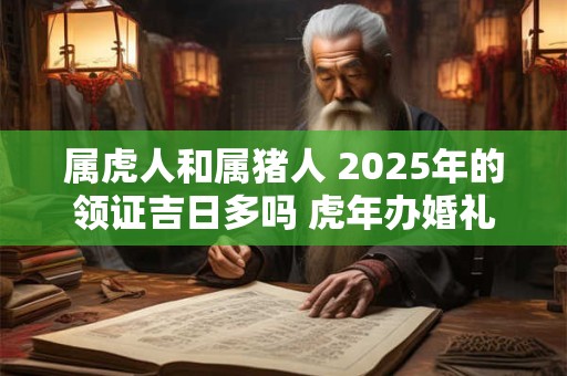 属虎人和属猪人 2025年的领证吉日多吗 虎年办婚礼好不好