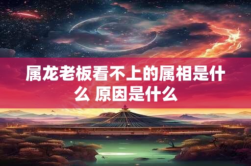 属龙老板看不上的属相是什么 原因是什么