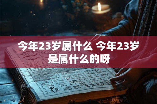 今年23岁属什么 今年23岁是属什么的呀 今年23岁属什么 今年23岁是属什么的呀