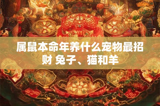 属鼠本命年养什么宠物最招财 兔子、猫和羊