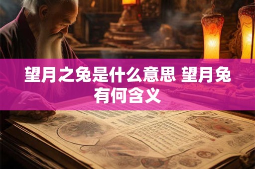 望月之兔是什么意思 望月兔有何含义