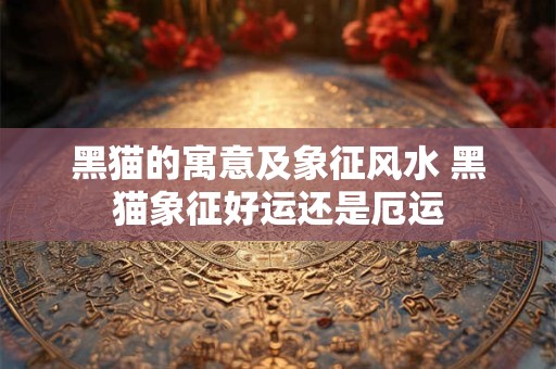 黑猫的寓意及象征风水 黑猫象征好运还是厄运