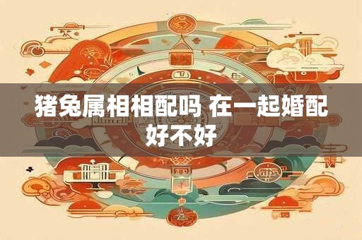 猪兔属相相配吗 在一起婚配好不好